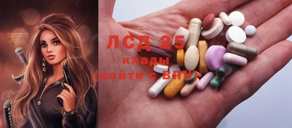 spice Каменка