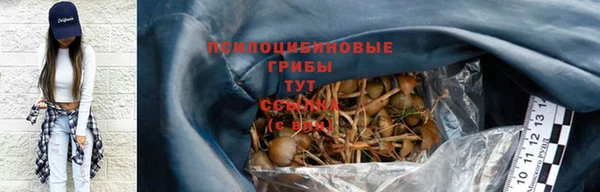 spice Каменка