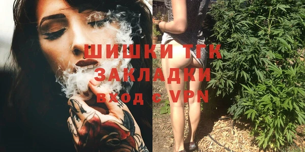spice Каменка