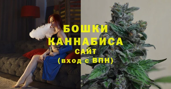 spice Каменка