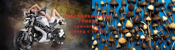 spice Каменка